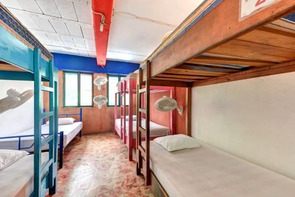 Hostel Playa Playa del Carmen Szoba fotó